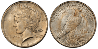 A picture of the 1921 High Relief Peace Dollar, highlighting the raised details of Liberty’s portrait and the eagle’s rays on the reverse.